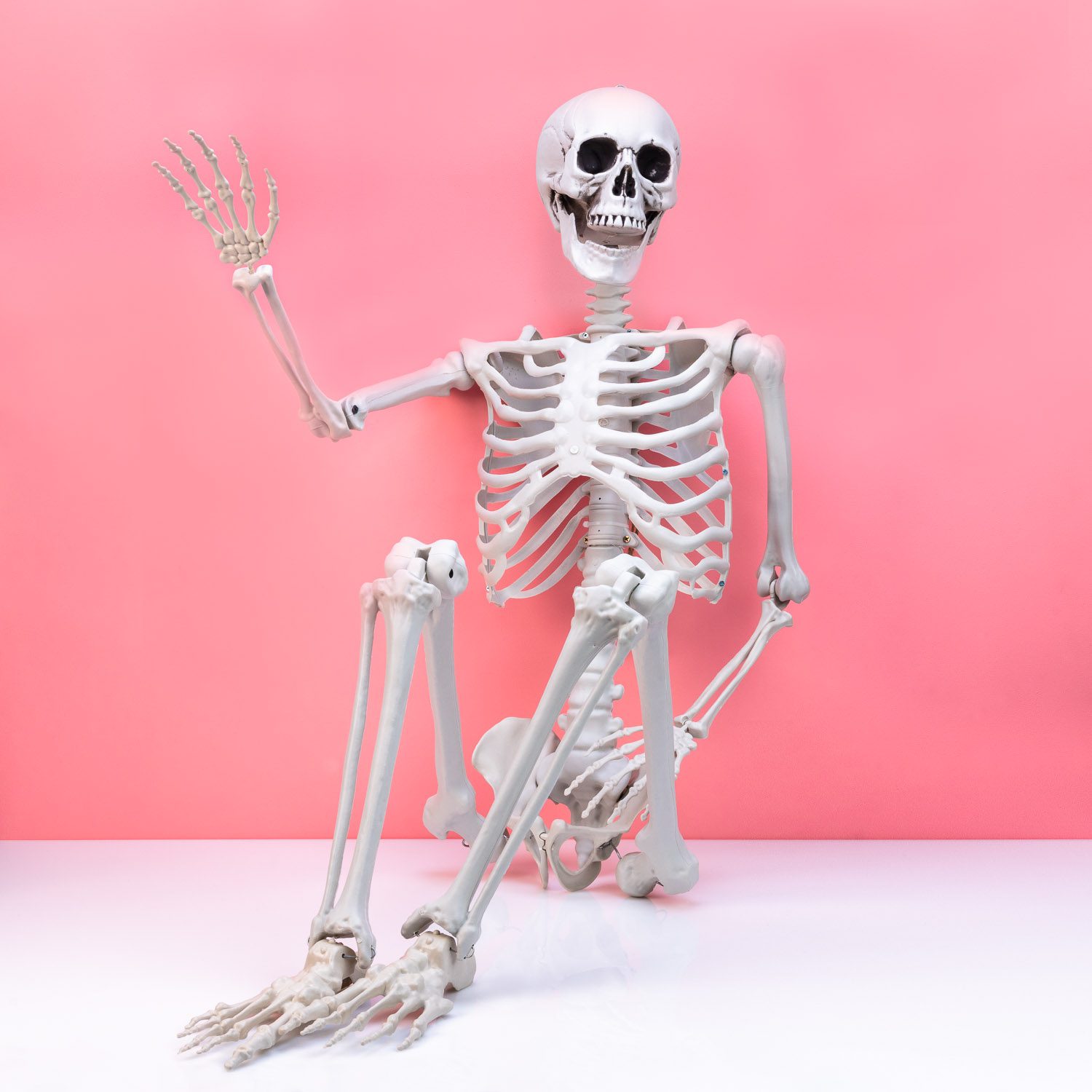 Levensgroot Skelet (170 Cm)